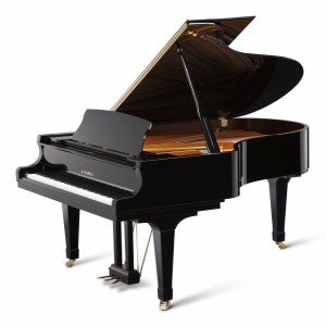 Kawai GX5