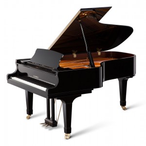 Kawai GX6