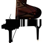 Yamaha C2X